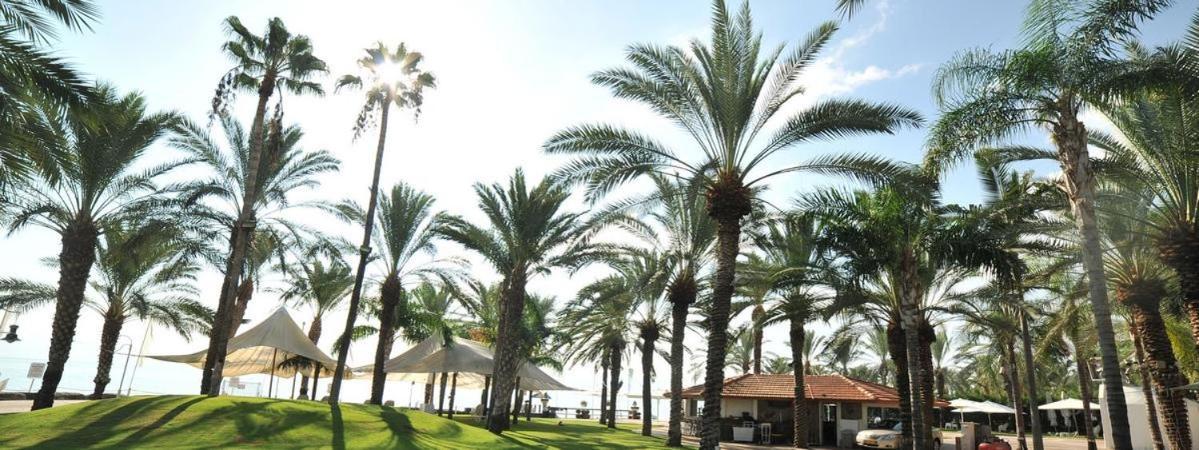 Kings Towers Blue Beach Tiberias Exterior photo